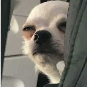 Meet your Posher, Fat juice